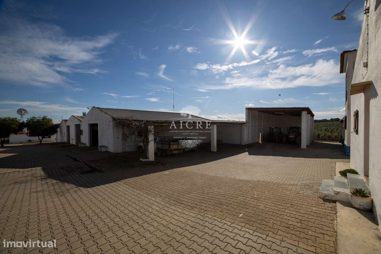 Herdade Alentejo-24