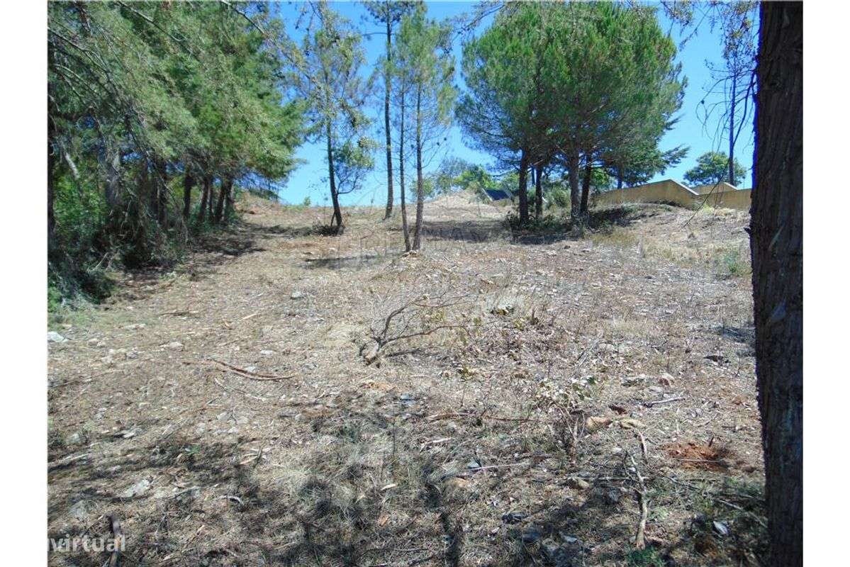 Terreno T0 para venda - Grande imagem: 3/5