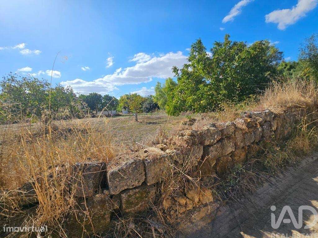 Quinta T4 em Chancelaria de 244 m2 - Grande imagem: 5/30