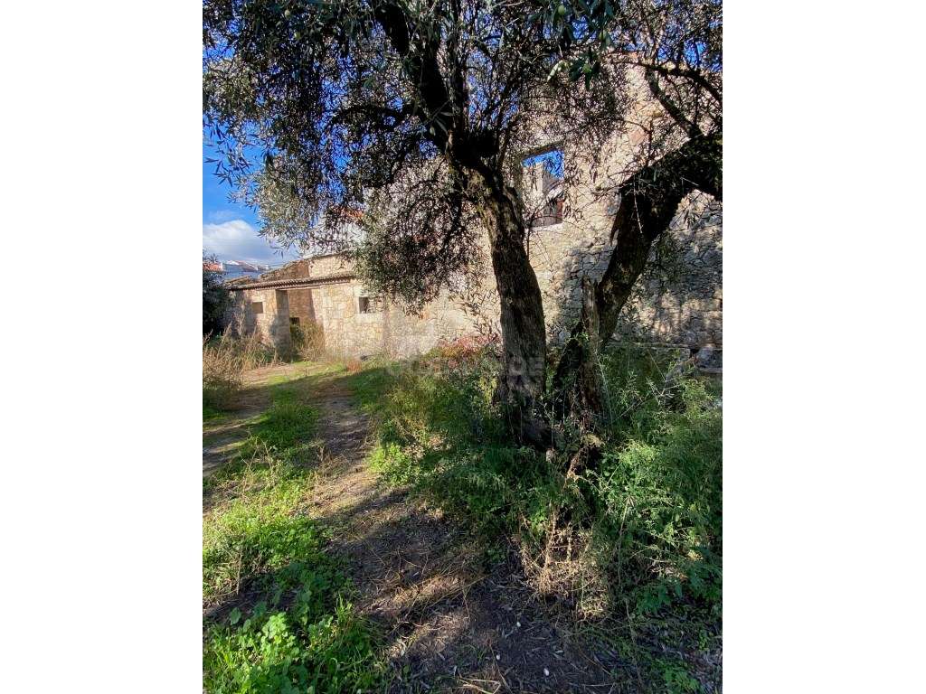 Moradia independente com 500 m2 área bruta-16