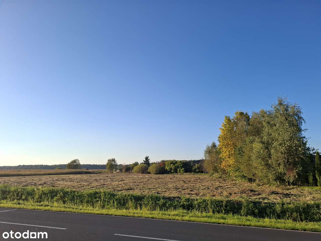 Sprzedam działkę nr 578/9 - Pełny obrazek: 4/9