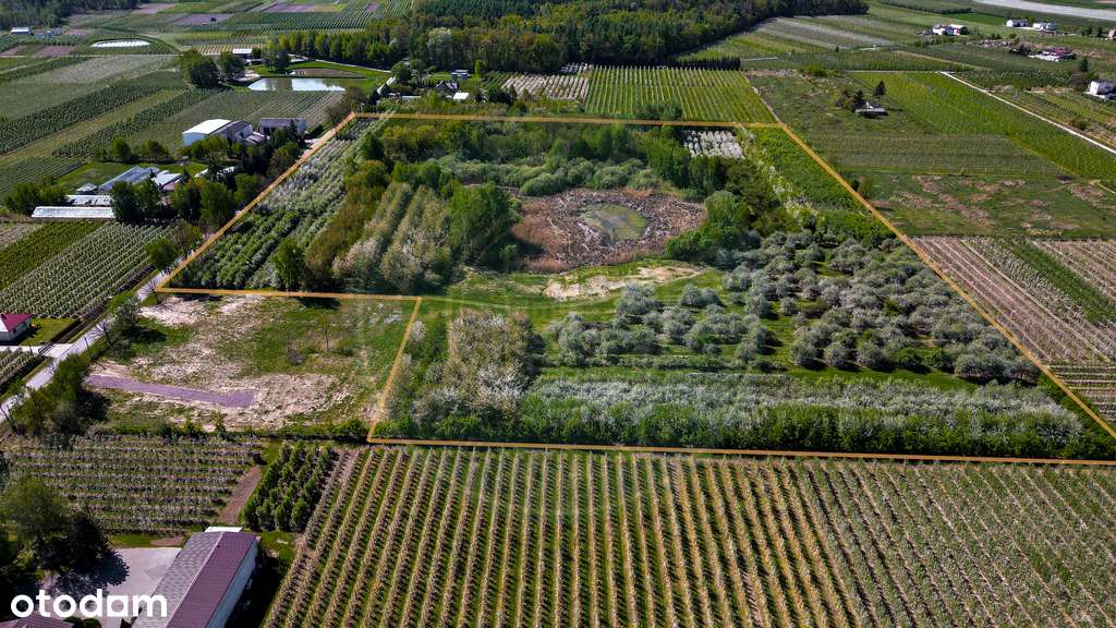 Malowniczy park z sadami i stawem blisko Warszawy - Pełny obrazek: 4/17