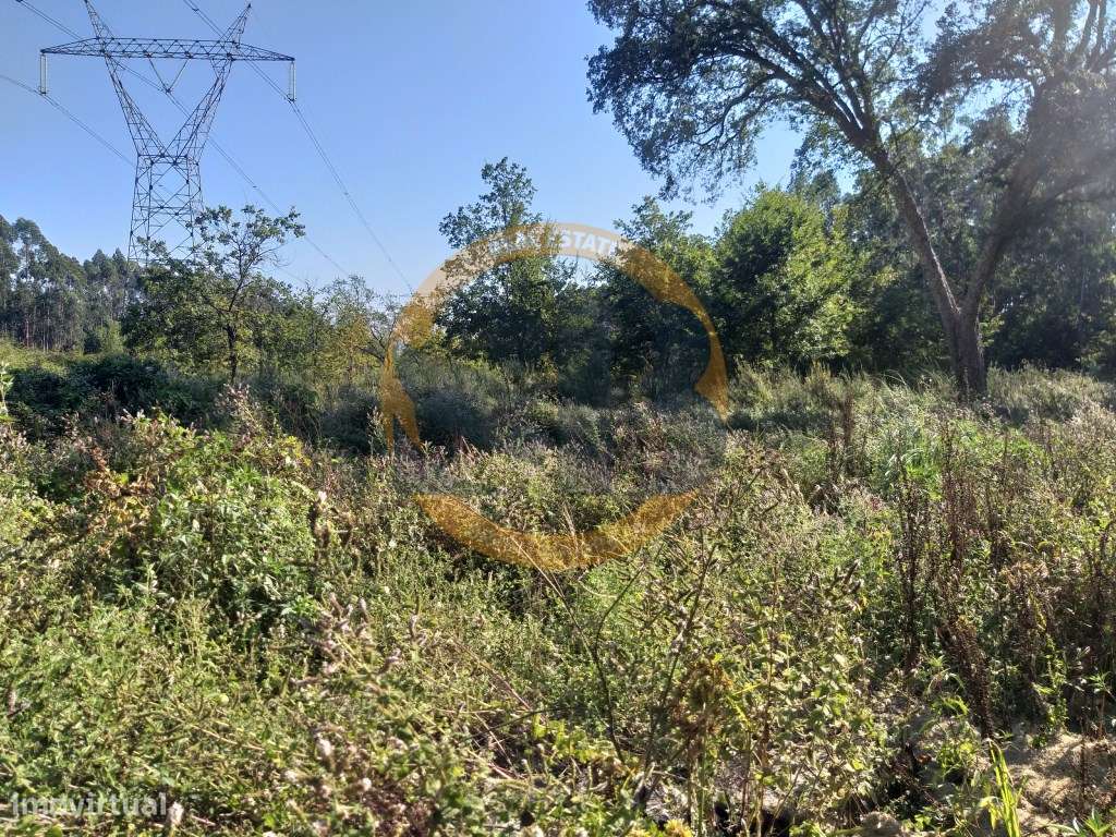 Terreno Urbano - Grande imagem: 2/2