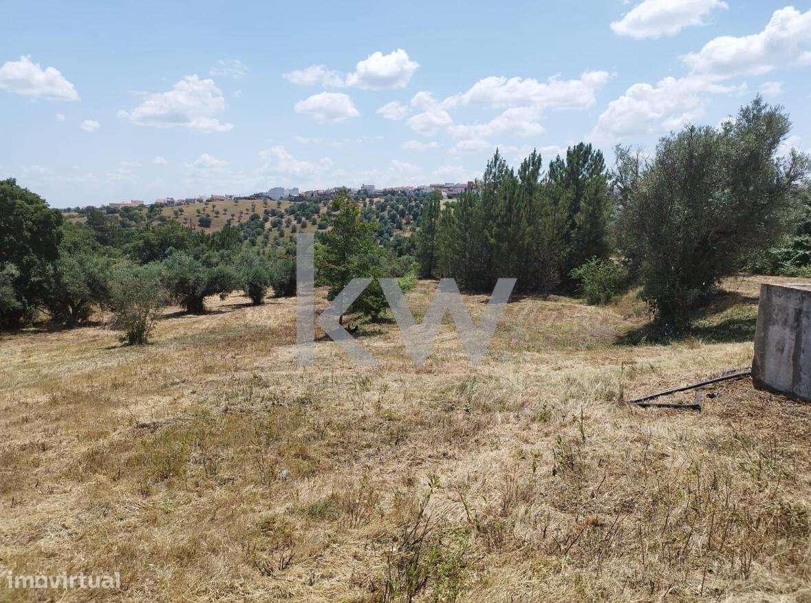 Terreno em Montargil com projecto de moradia - Grande imagem: 4/17