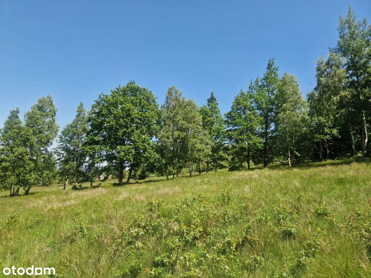 Działka - Pełny obrazek: 3/5