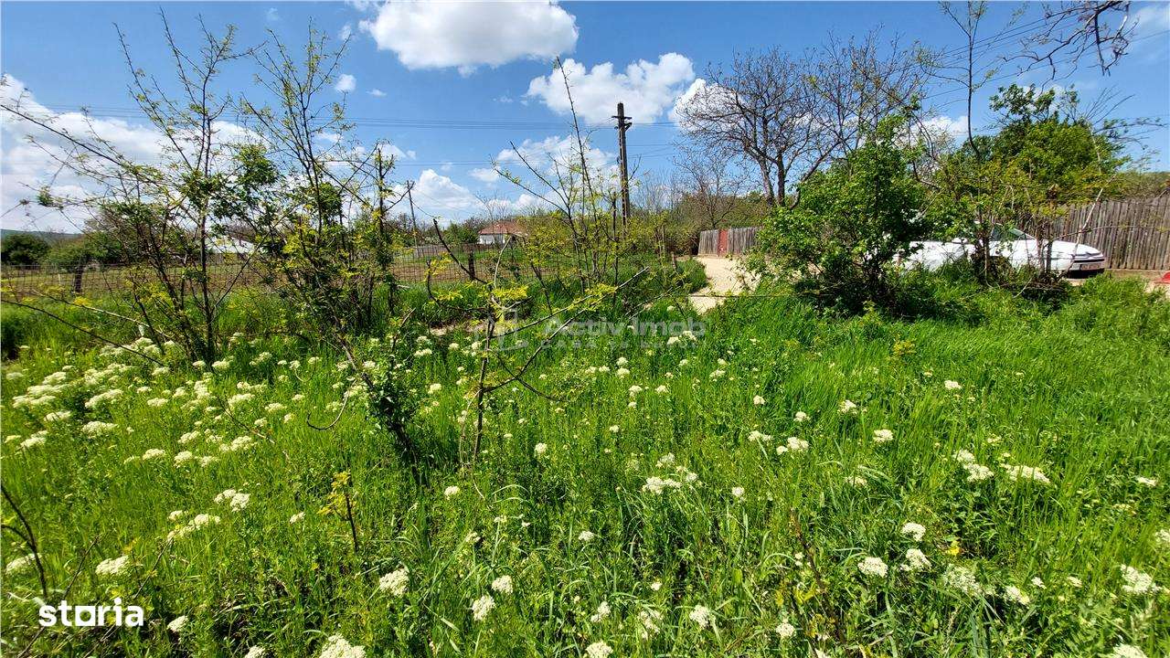 Vanzare in rate, teren 509 mp, com. Vernesti-sat Carlomanesti - Imagine principală: 2/5