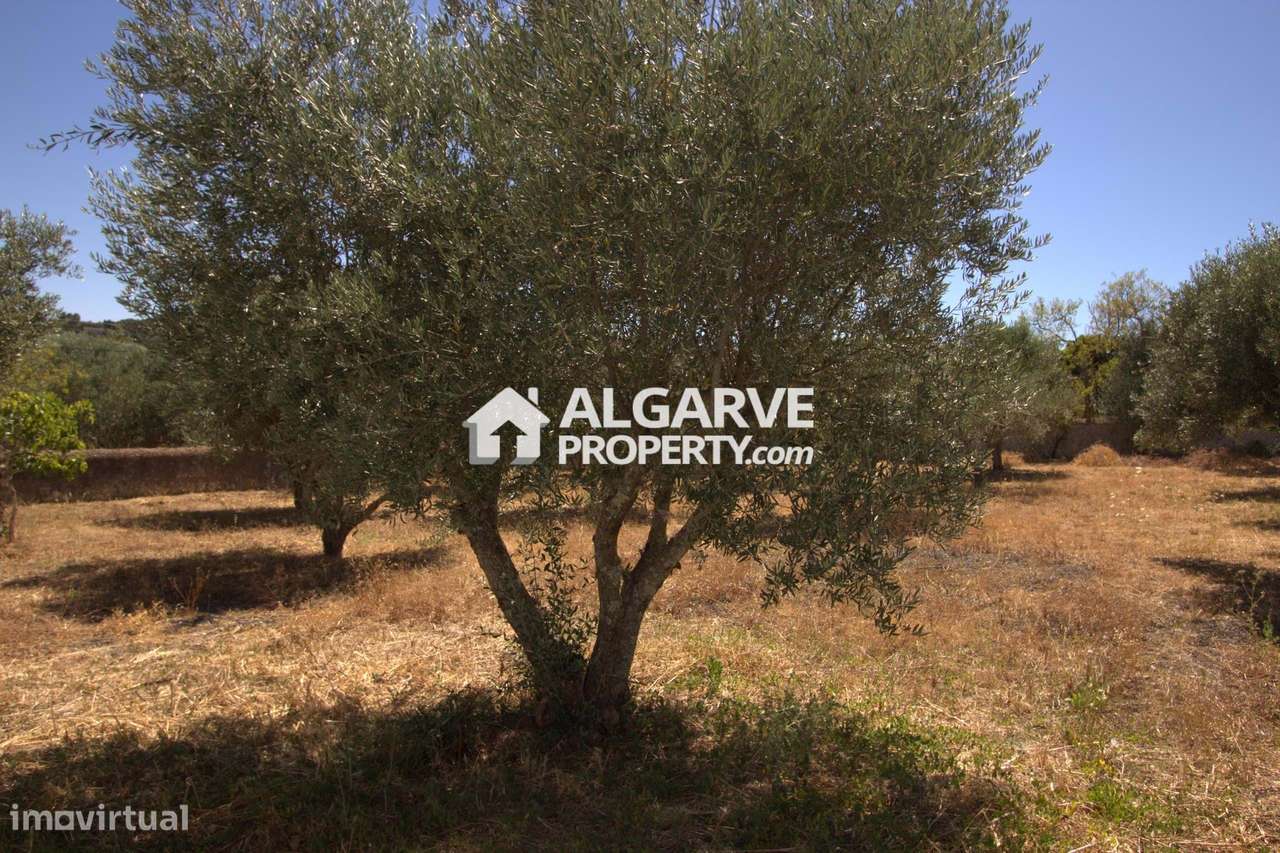 São Brás de Alportel - Terreno com projecto para construção de 2 morad - Grande imagem: 2/12