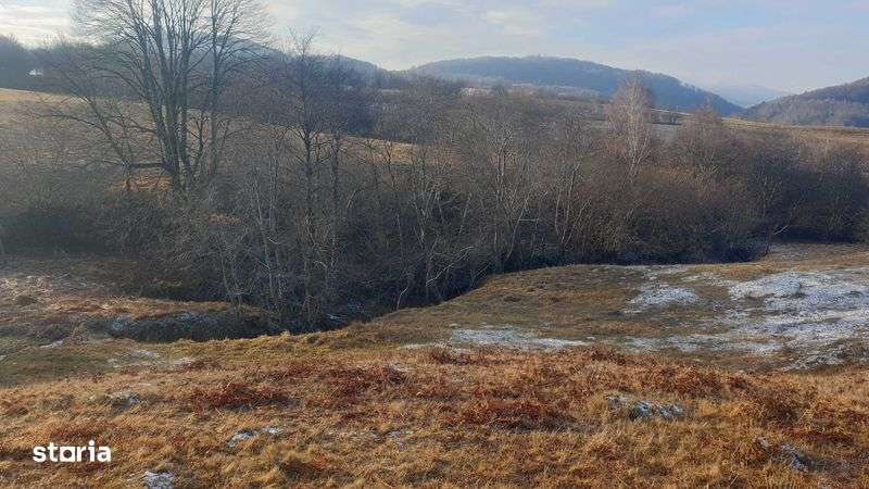 De vanzare teren extravilan in comuna Ciucea ,jud.Cluj - Imagine principală: 5/8