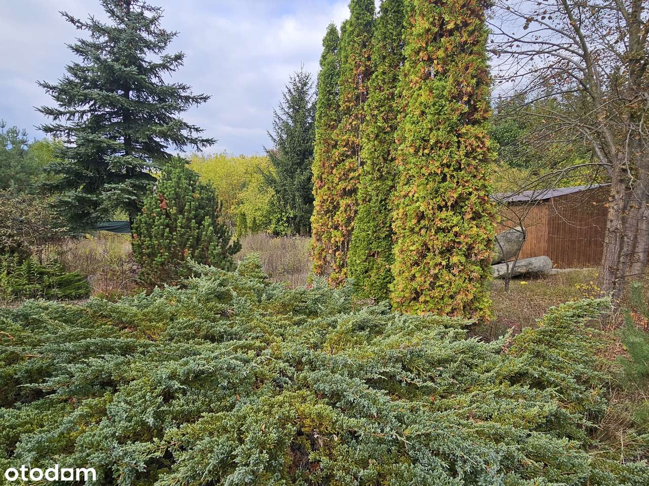 Kilka ładnych działek obok siebie (2 lokalizacje). Blisko Glinianki-10