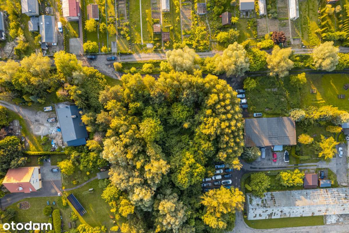 Działka w Gdańsk- Olszynka 2013m2 - Pełny obrazek: 3/9