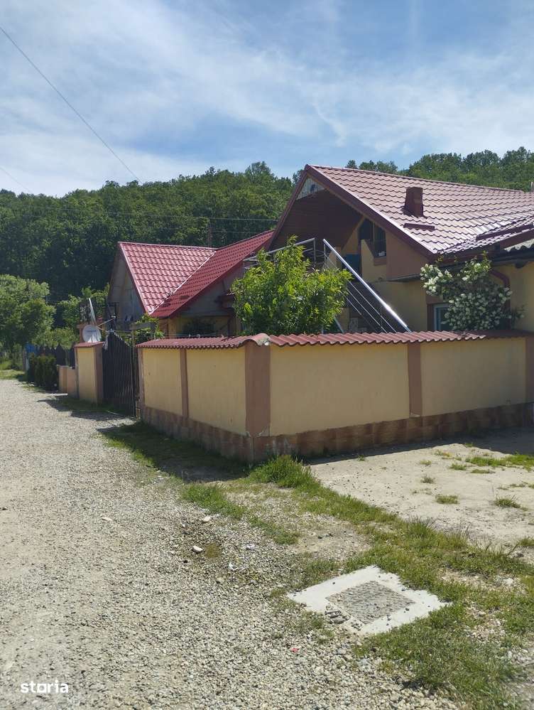 Casă Oras Țicleni - Imagine principală: 1/10