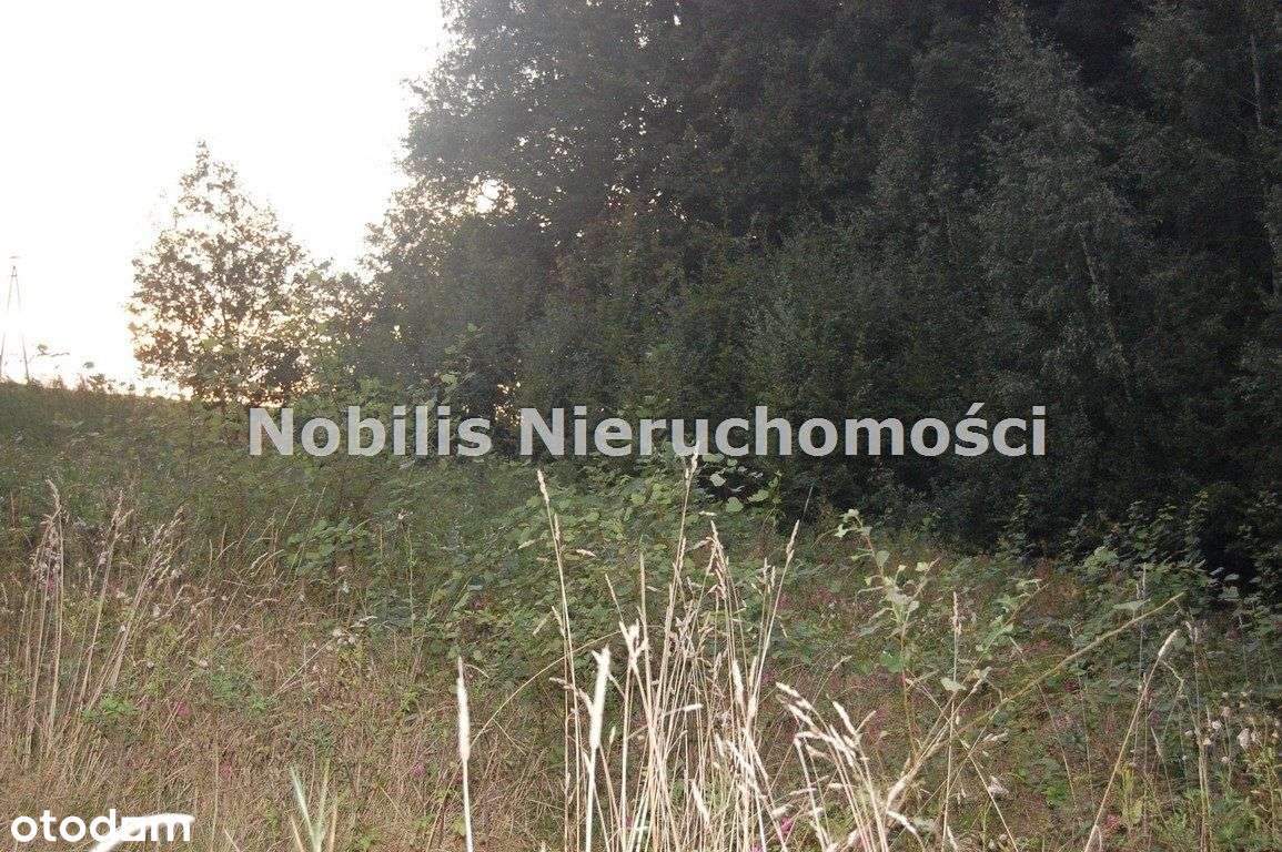 Działka w Roztropicach-1