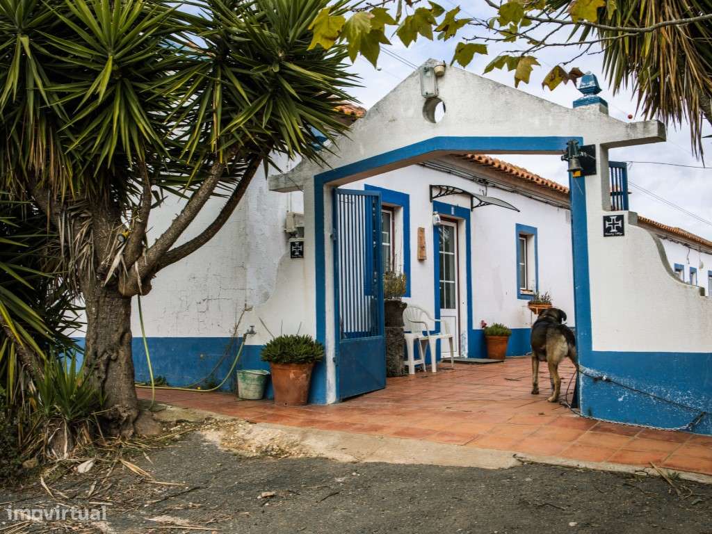 ** Fantástico Monte Alentejano com 50.000m2 Próximo a Maravilhosa C...-26