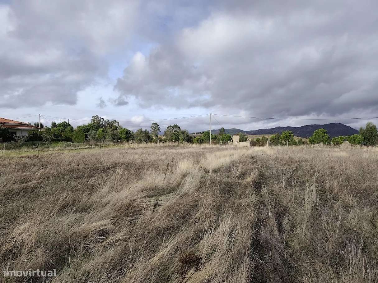 Terreno com dependência agricola - Grande imagem: 4/14