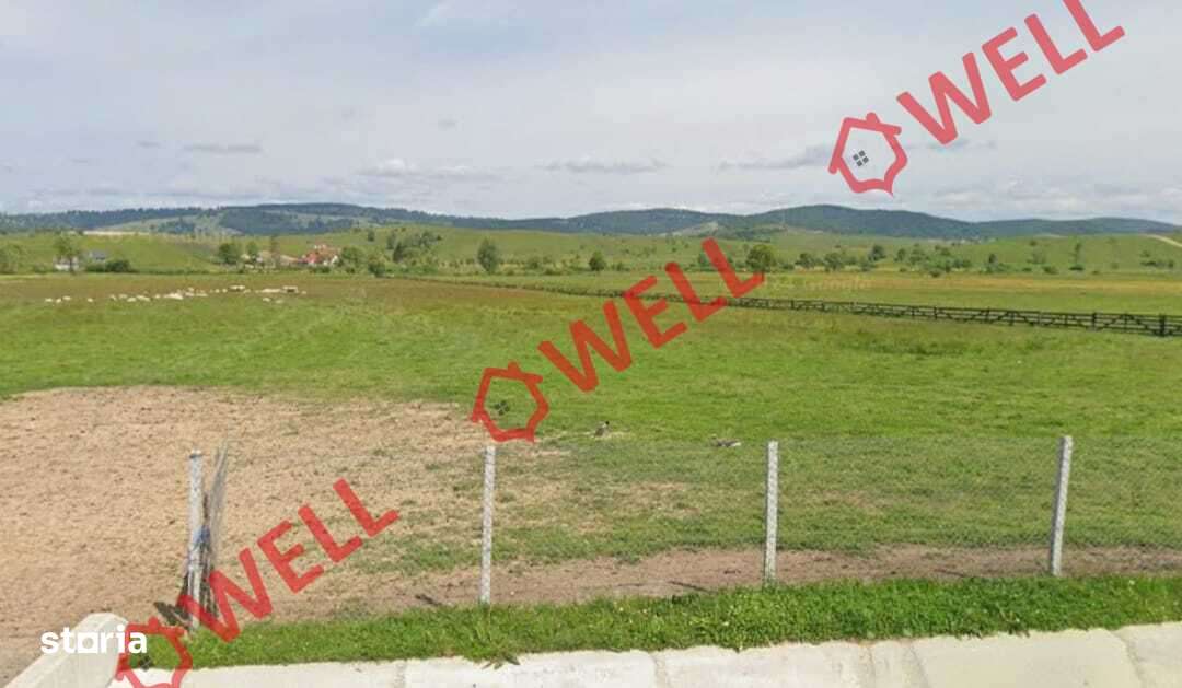 De vânzare teren extravilan în  loc. Sărămaș, com. Barcani - Imagine principală: 3/4