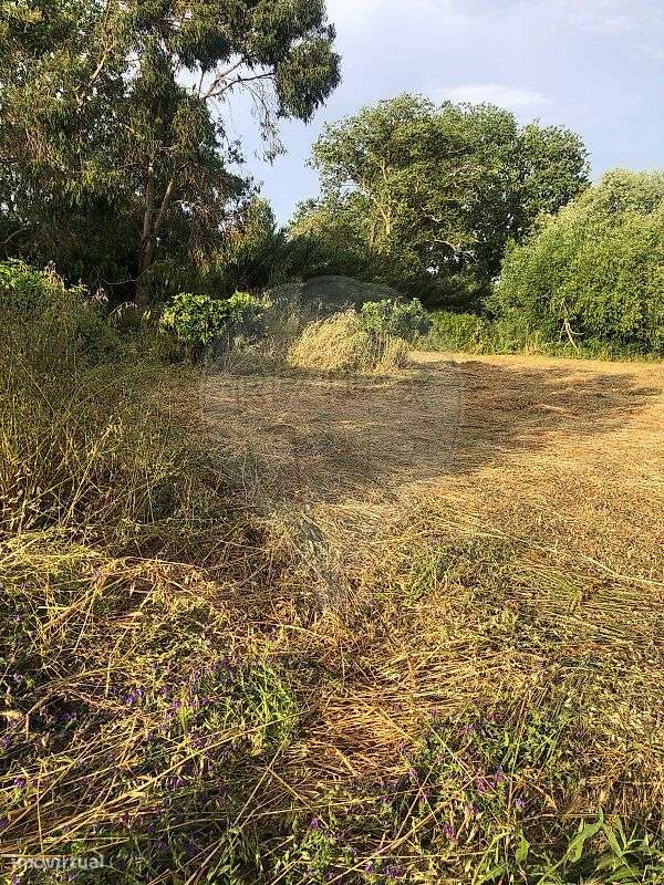 Terreno  para venda - Grande imagem: 5/8