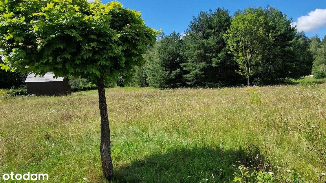 Działka budowlana Słójka Dziewiczy Ług - Pełny obrazek: 4/10