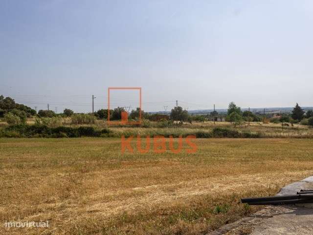 Terreno com Armazém - Charneca de Alcorochel - Grande imagem: 4/19