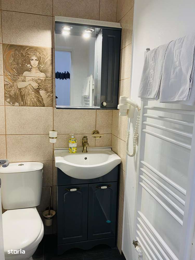 Teren 954mp Ultracentral + 2 cabane-15