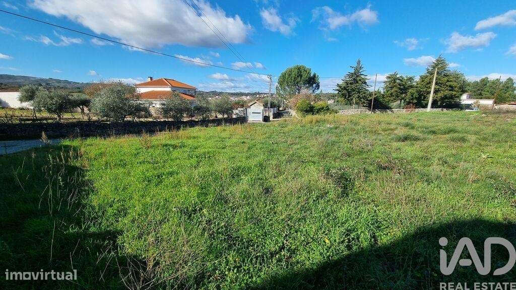 Terreno para construção em Lajeosa do Mondego de 3000,00 m2 - Grande imagem: 4/13