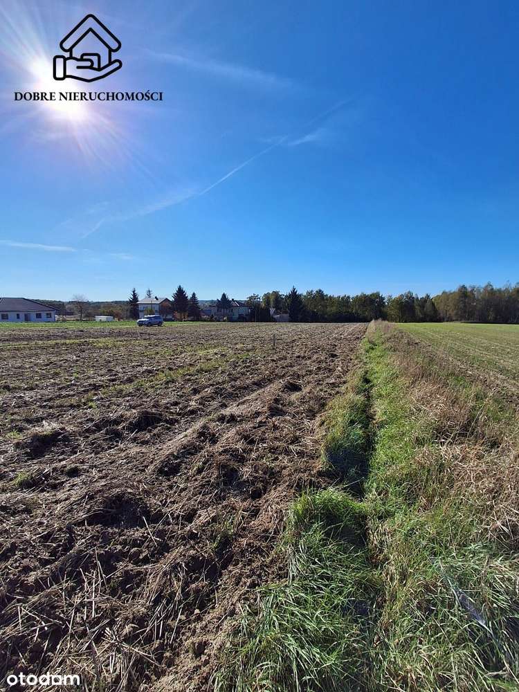 Działka  10ar. 165tyś!!!  Zbliżona do kwadratu - Pełny obrazek: 2/5