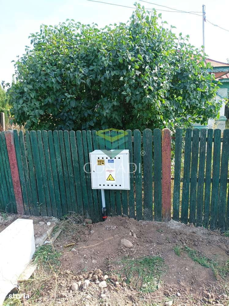 Teren Intravilan Nucet - Imagine principală: 4/11