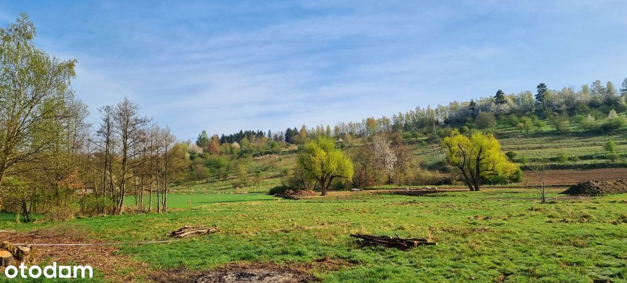 Działka budowlaną w miejscowości Kudowa Zdrój