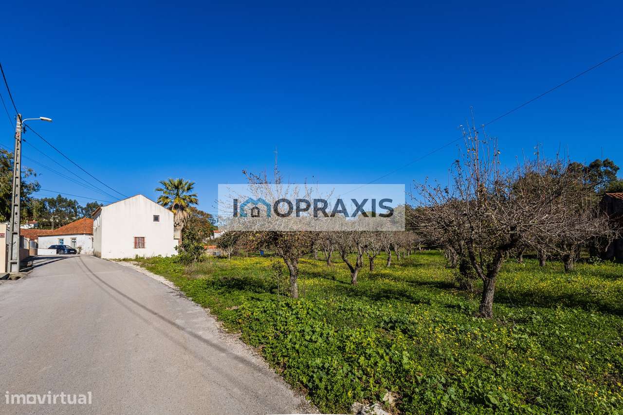 Moradia para reabilitação e terreno em Pedreiras, Porto de Mós-15