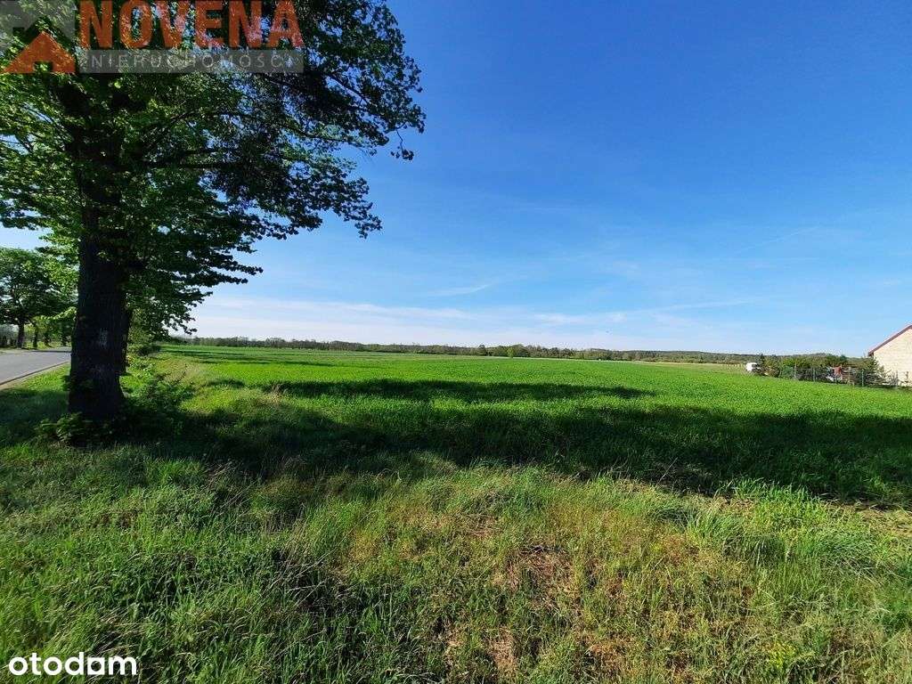 Ostatnie dwie działki, media w realizacji. - Pełny obrazek: 4/5