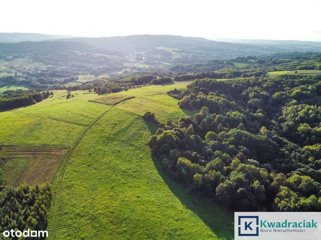 Działka w Lutczy idealna pod Inwestycję – 4,48 ha-8