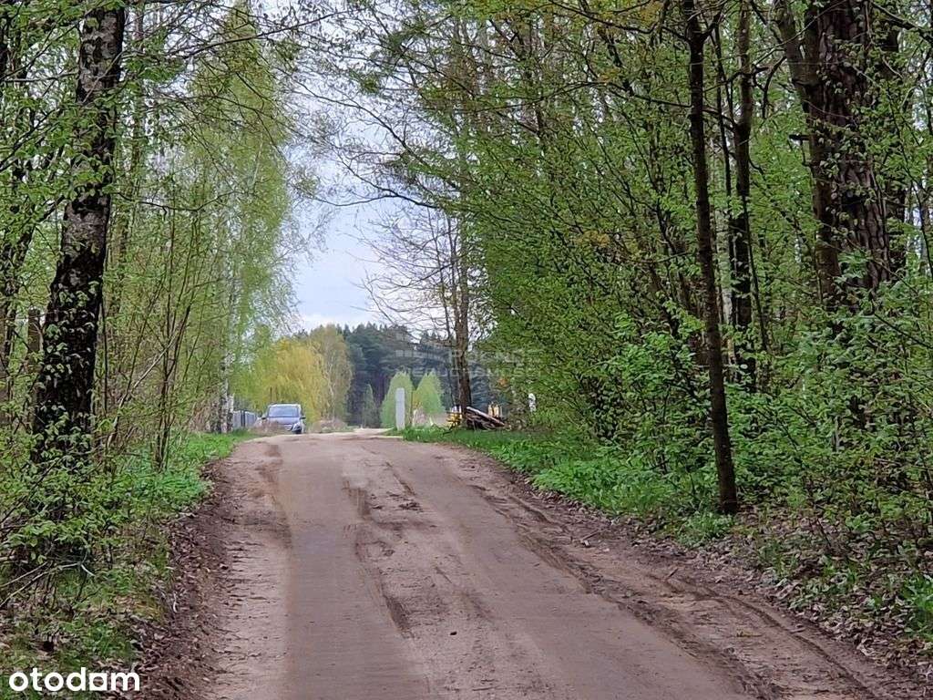 Henrykowo – Raj wśród zieleni, spokój i natura-17