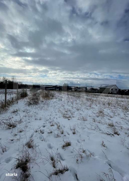 Teren intravilan, 11.330 mp, in Falticeni - Imagine principală: 2/2