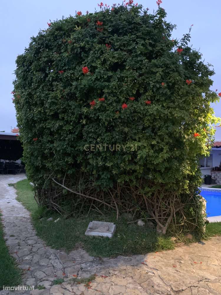 Moradia T5 renovada com piscina, perto da Ericeira.-14