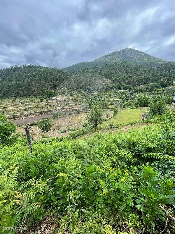 Terreno  para venda-5