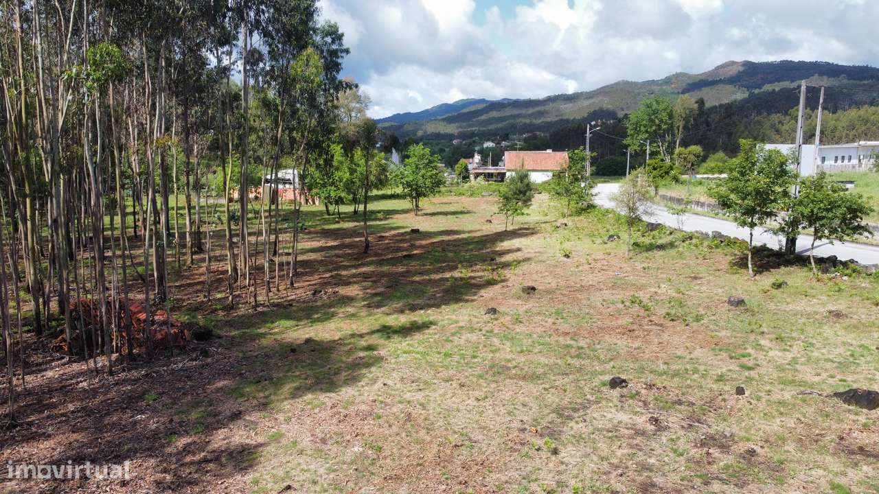 Terreno - Oliveira de Frades - Grande imagem: 4/18