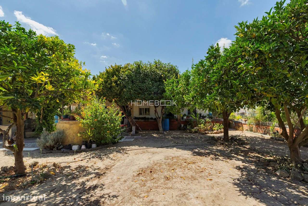 Quinta com 13000m2,  com potencial loteamento em Palmela - Grande imagem: 5/32