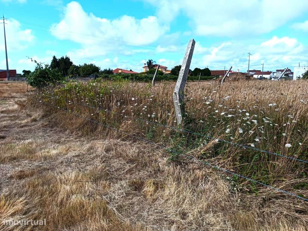 Terreno Rustico / Agrícola - Cacia - Para Investimento - Grande imagem: 5/21