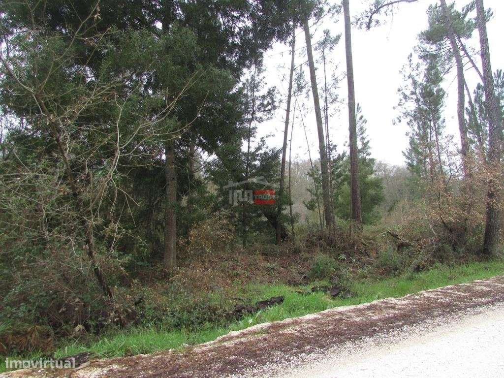 terreno c/ 1000 M2 - Grande imagem: 5/7