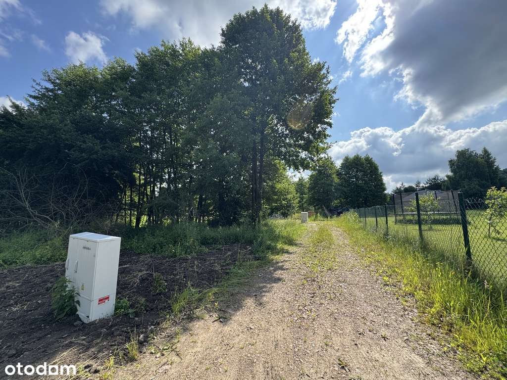 Przy bocznej ulicy, media na działce, zadrzewienia-2