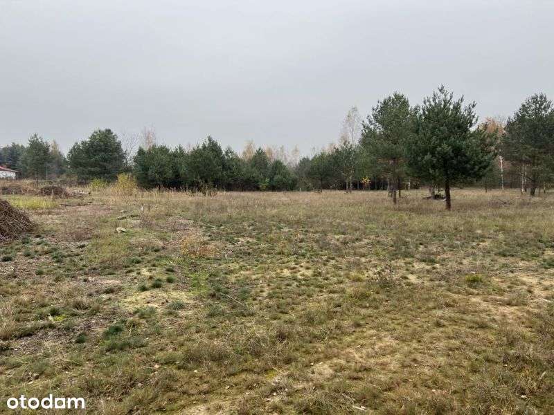 Rekreacyjna działka nad jeziorami Sumino i Białe - Pełny obrazek: 4/8