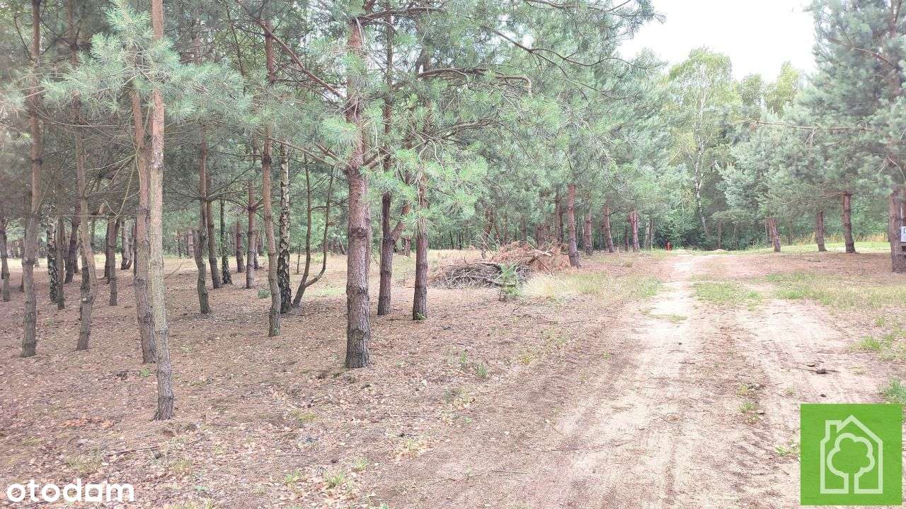 Działka, 1 008 m², Skudzawy - Pełny obrazek: 5/18