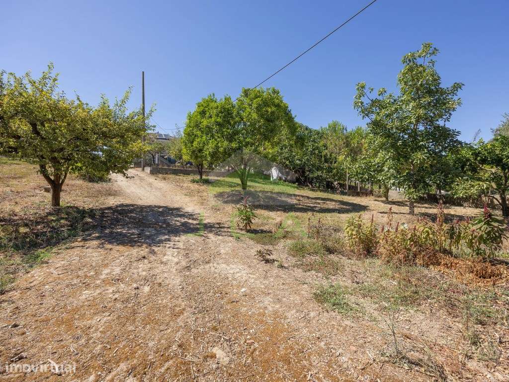 Moradia V3+2 com 4.010m2 de terreno a 5min de Leiria-16