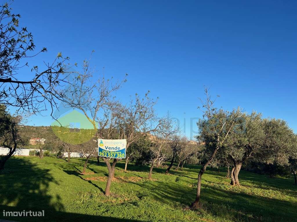 EXCELENTE LOTE DE TERRENO RÚSTICO (2.900 m2) COM AMENDOEIRAS - Grande imagem: 3/21