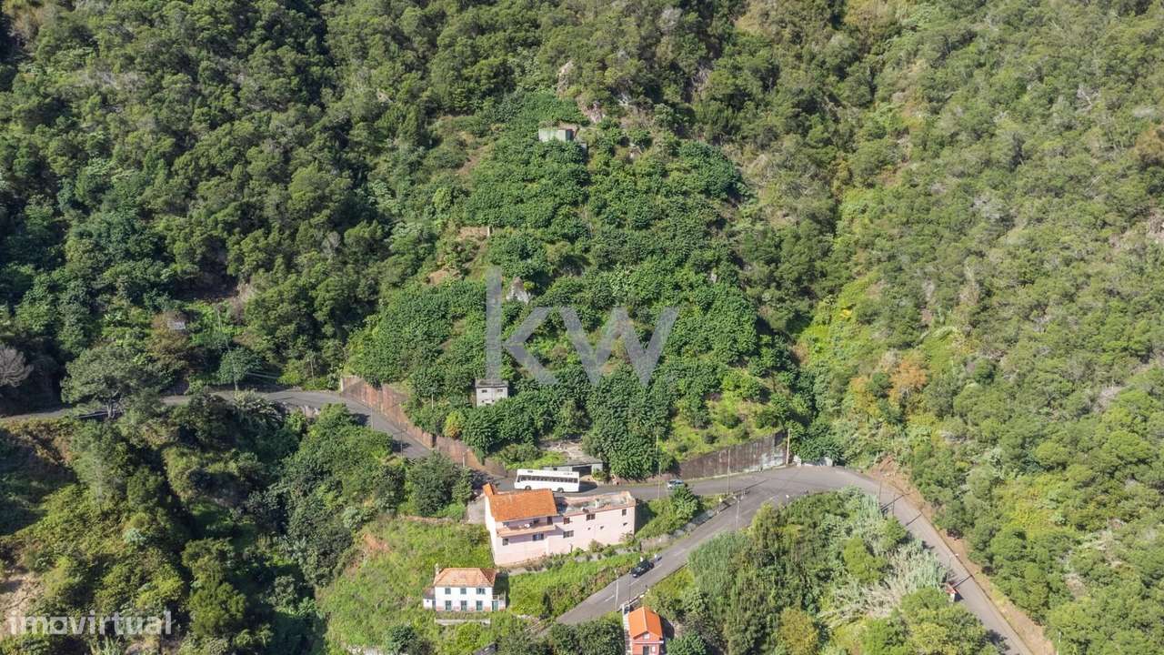 Terreno com 7340 m2, Localizado no Concelho de Santana, Freguesia do F - Grande imagem: 5/16