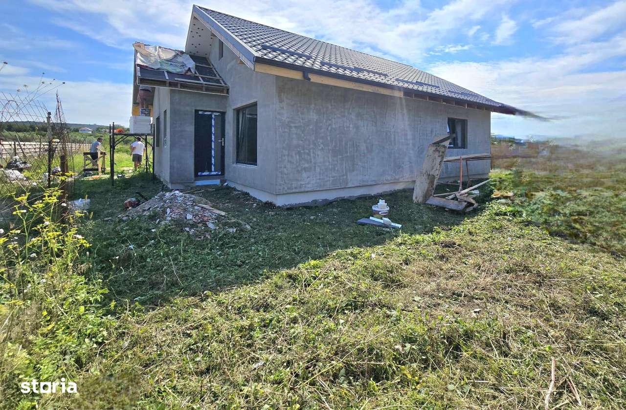 Casa single  3 camere D  Lunca Cetatuii - Imagine principală: 3/10