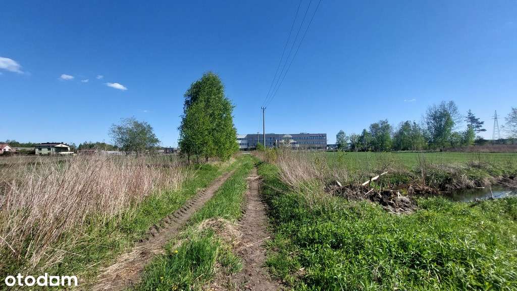 ✅Sprawdź >>> Działka inwestycyjna - Najem -1,1Ha ✅ - Pełny obrazek: 5/9
