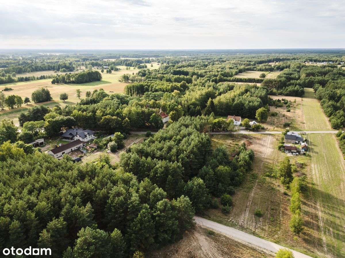 Działka w spokojnej okolicy Kiciny blisko Warszawy - Pełny obrazek: 4/17