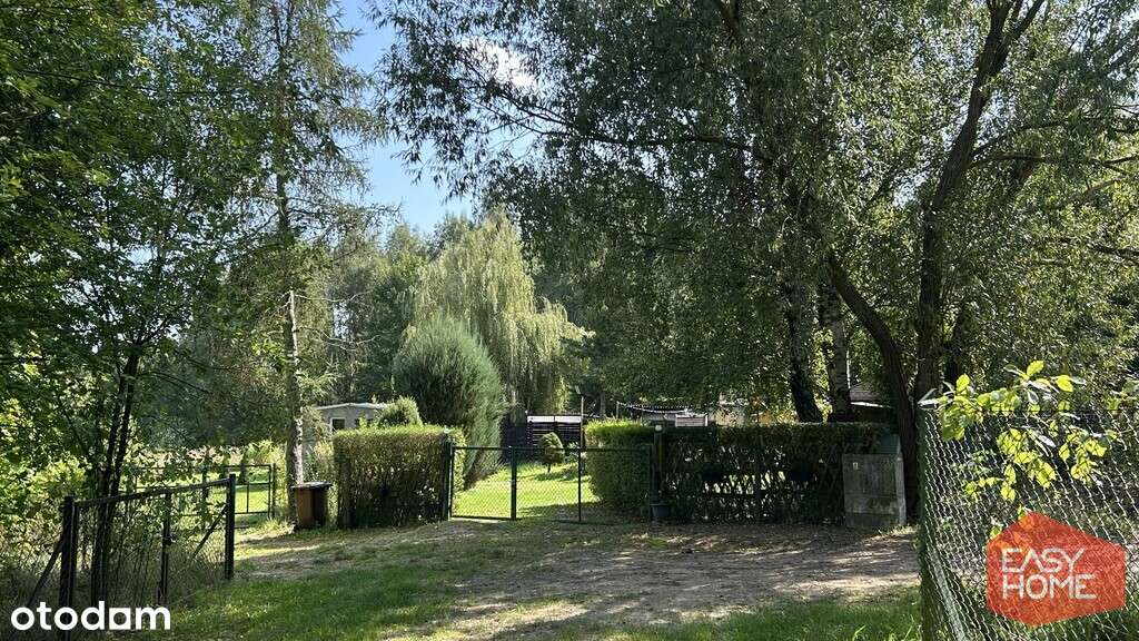 Cudowne miejsce w pobliżu jeziora i lasu-2