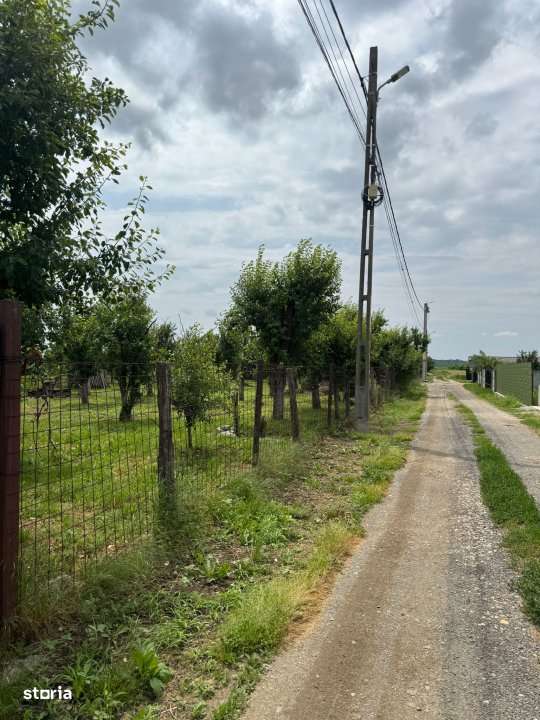 Teren Intravilan - Str. Gorganu, Calinesti - 1268 mp! - Imagine principală: 4/7