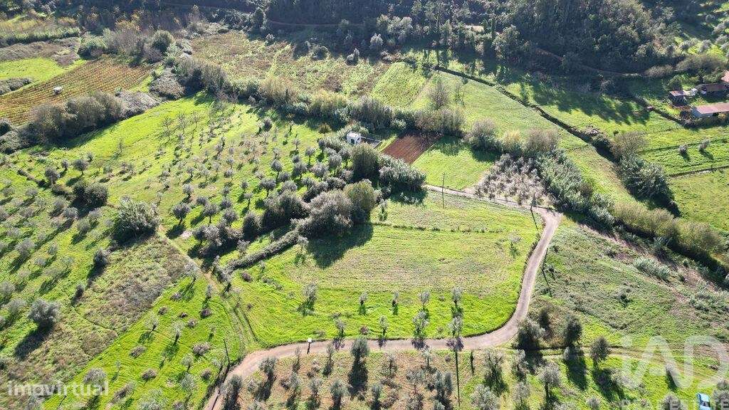 Terreno Agrícola em Podentes - Grande imagem: 3/25